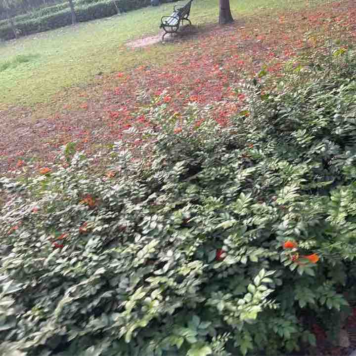 Neha post 1