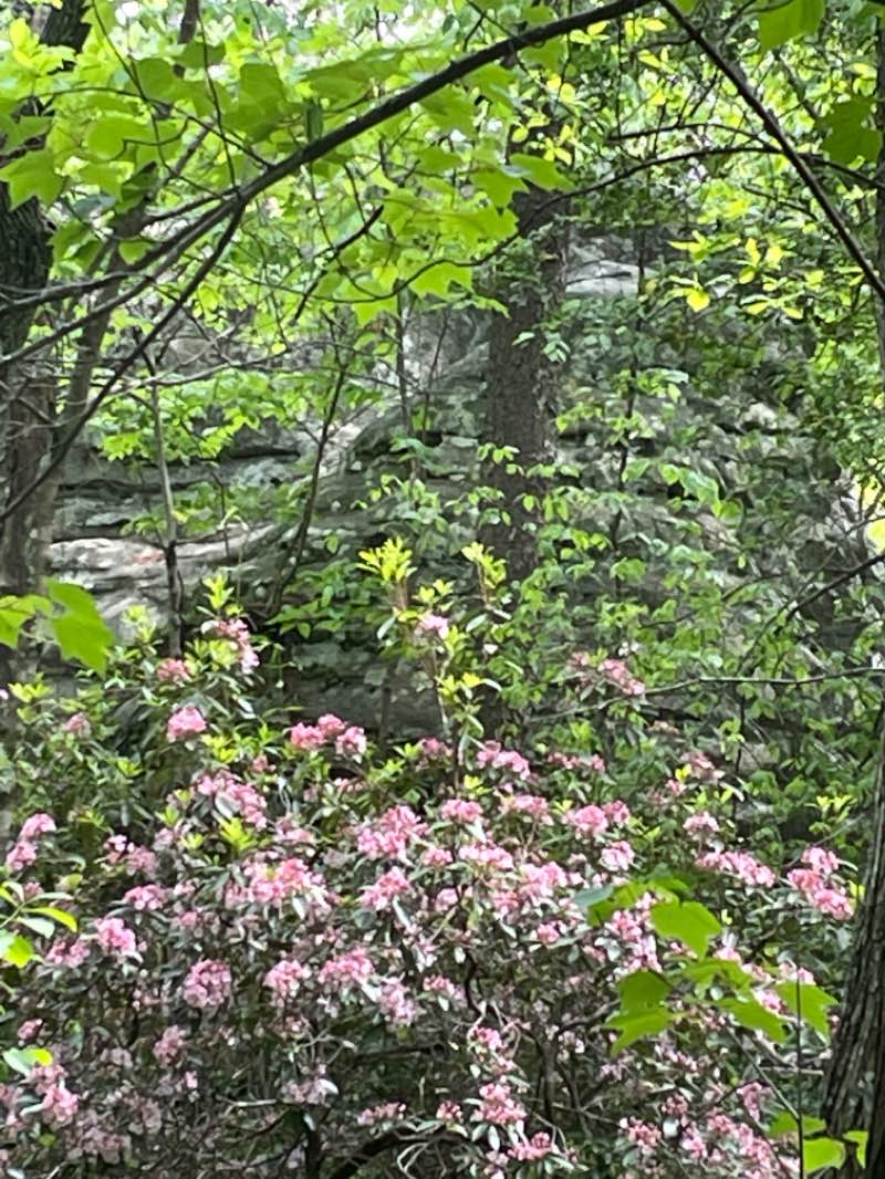 walking near me in Little River Canyon National Preserve in winter