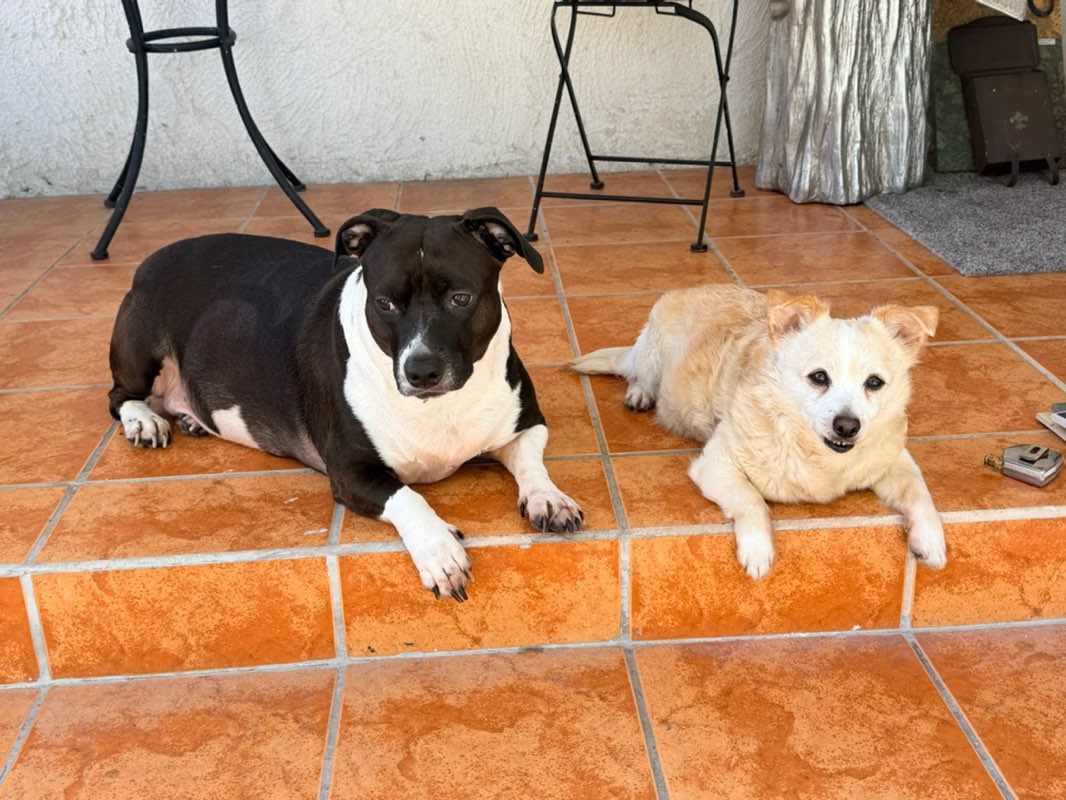 Jimmy Bze 🇧🇿 profile