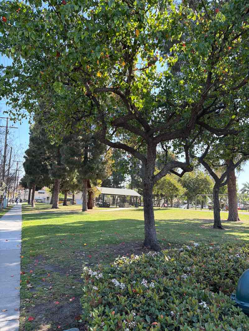 walking near me in Reservoir Park in spring