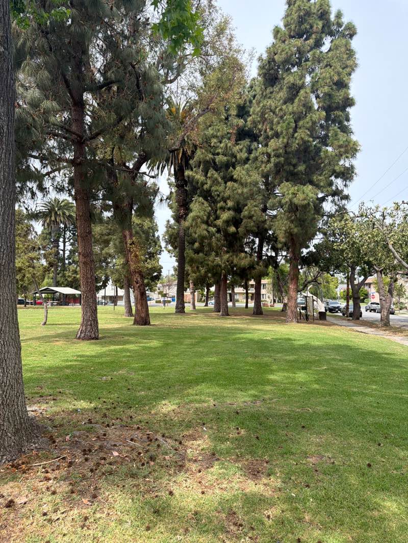 walking near me in Reservoir Park in spring