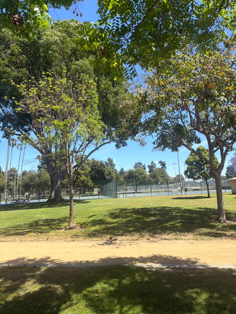 walking near me in South Gate Park in spring
