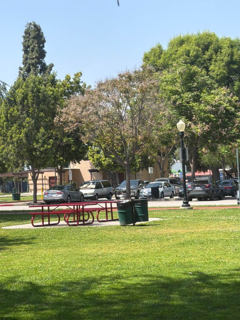 walking near me in Rosemead Park in spring