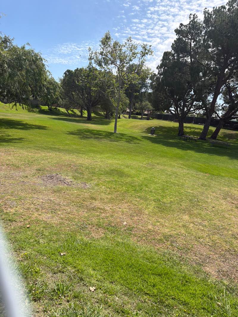 walking near me in Cherry Cove Park in summer