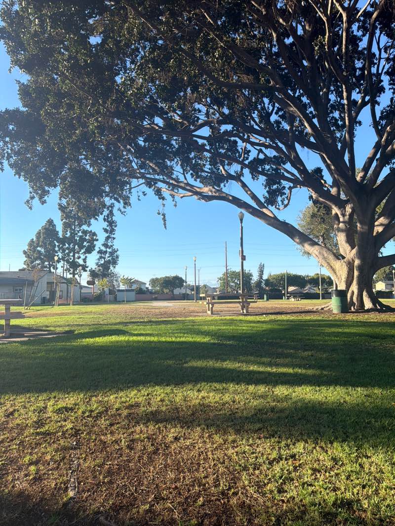 walking near me in Somerset Park in summer