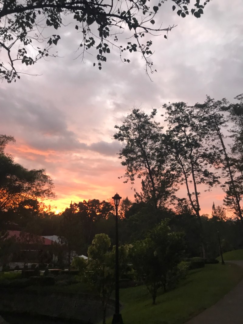 walking near me in Plaza Rizal in winter