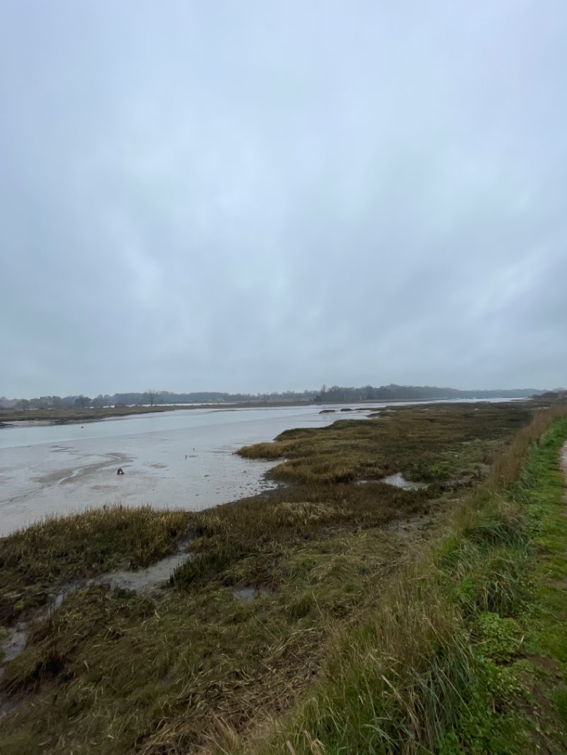 walking near me in Kingston Field in winter