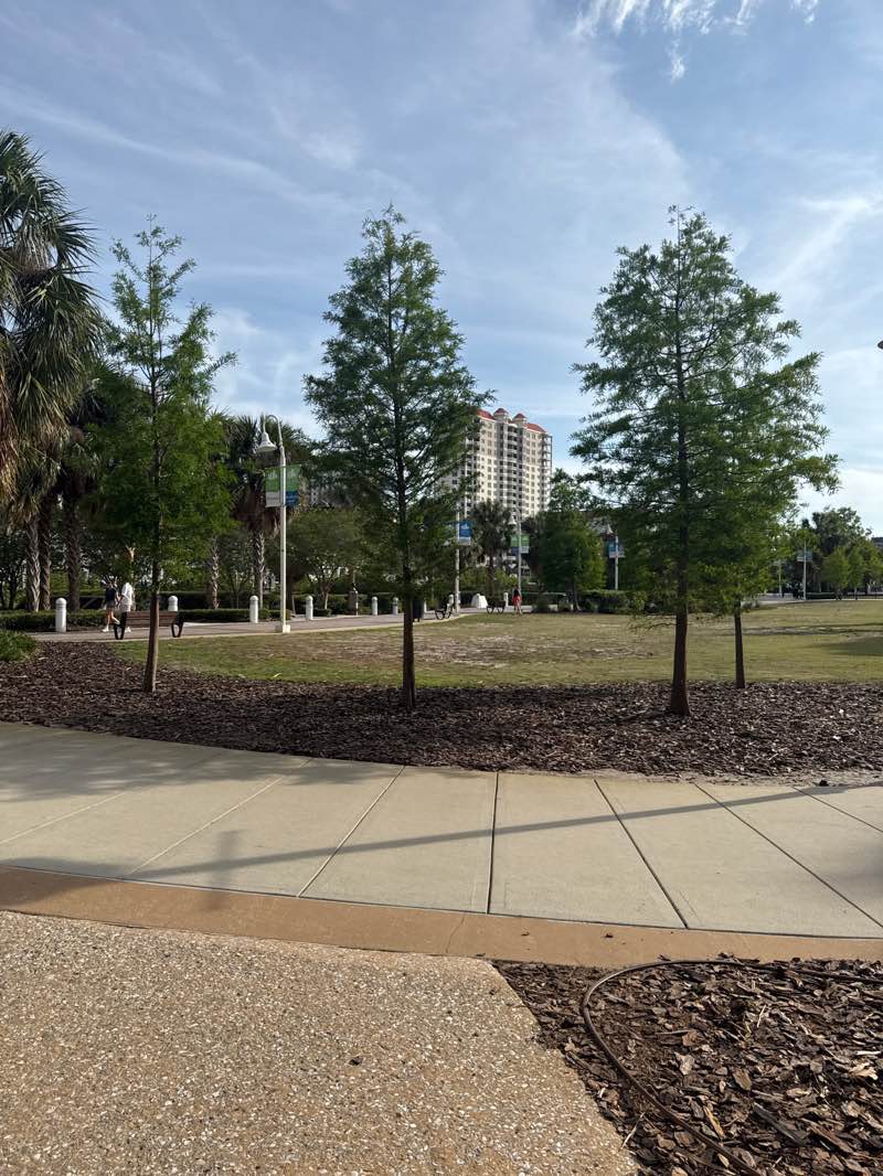 walking near me in Cotanchobee Fort Brooke Park in spring