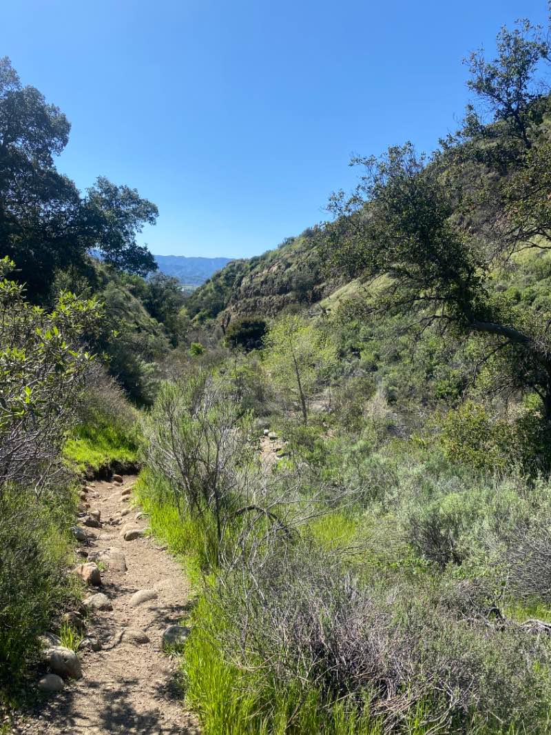 walking near me in Whitney Canyon Park in winter