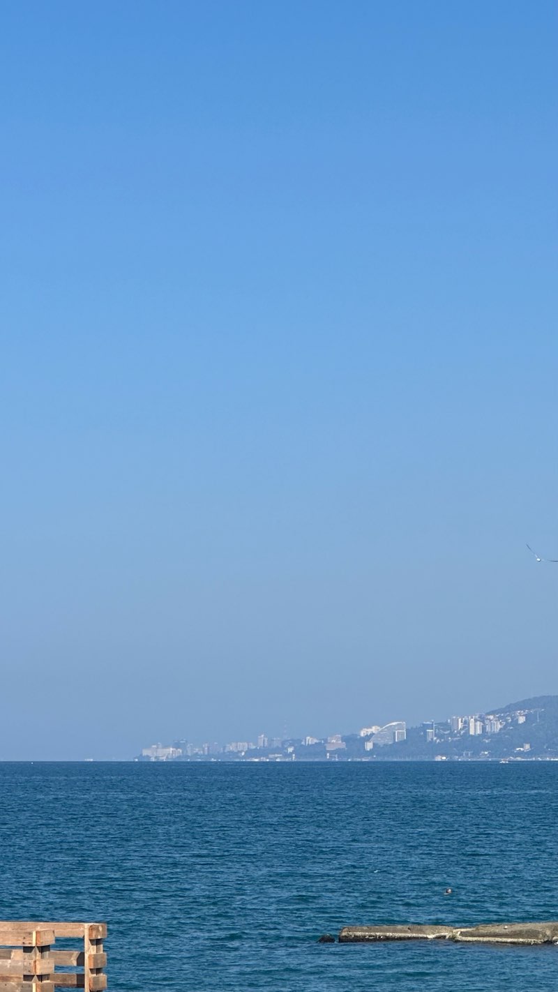 walking near me in Природный орнитологический парк в Имеретинской низменности. Кластер 9 in winter