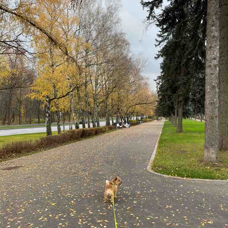 Галопом по Москве🏃🏻🏆 Ekaterina Kovnatskaya post image