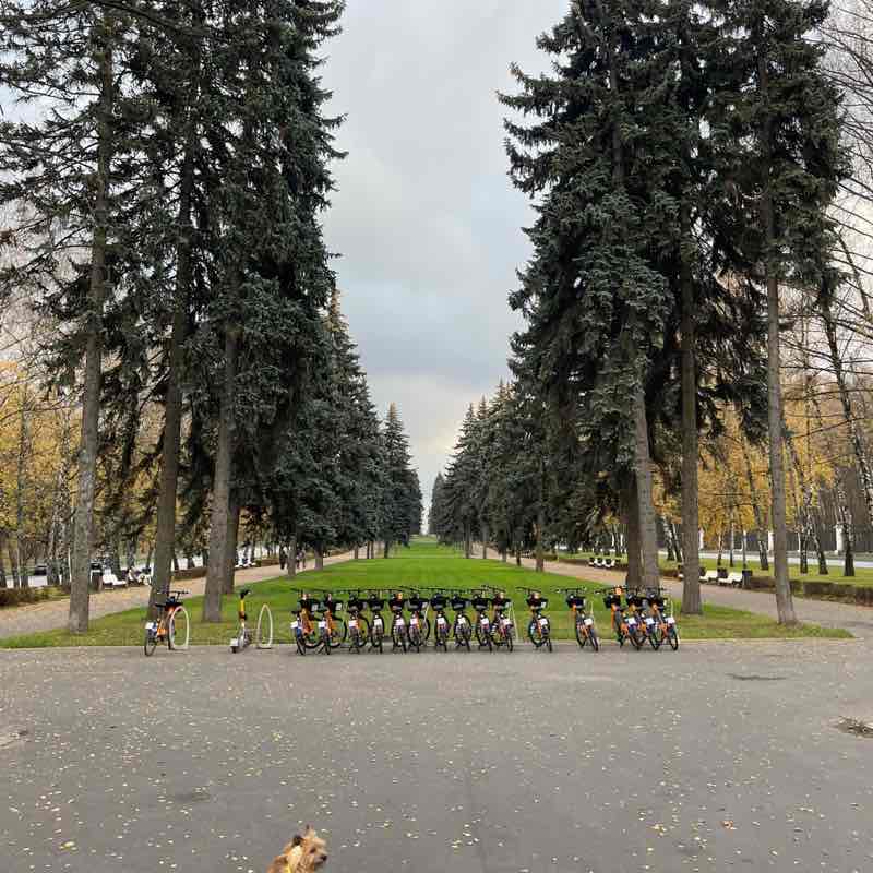 Галопом по Москве🏃🏻🏆 Ekaterina Kovnatskaya post image