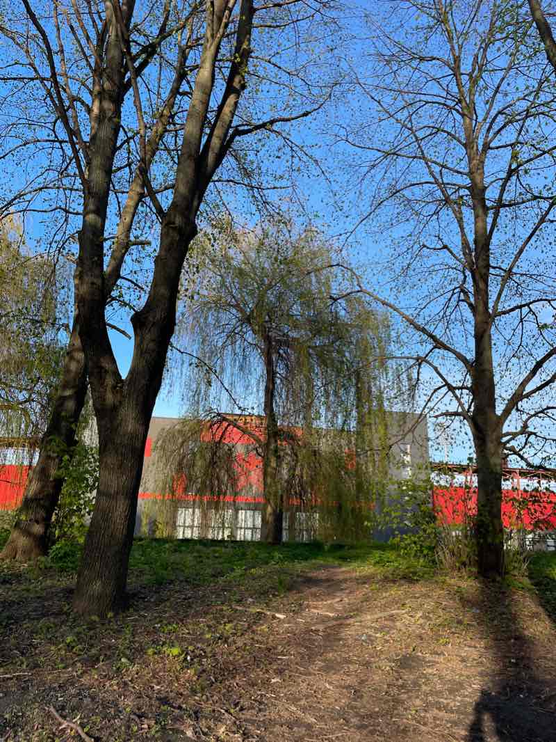 walking near me in Площа Європейська in winter