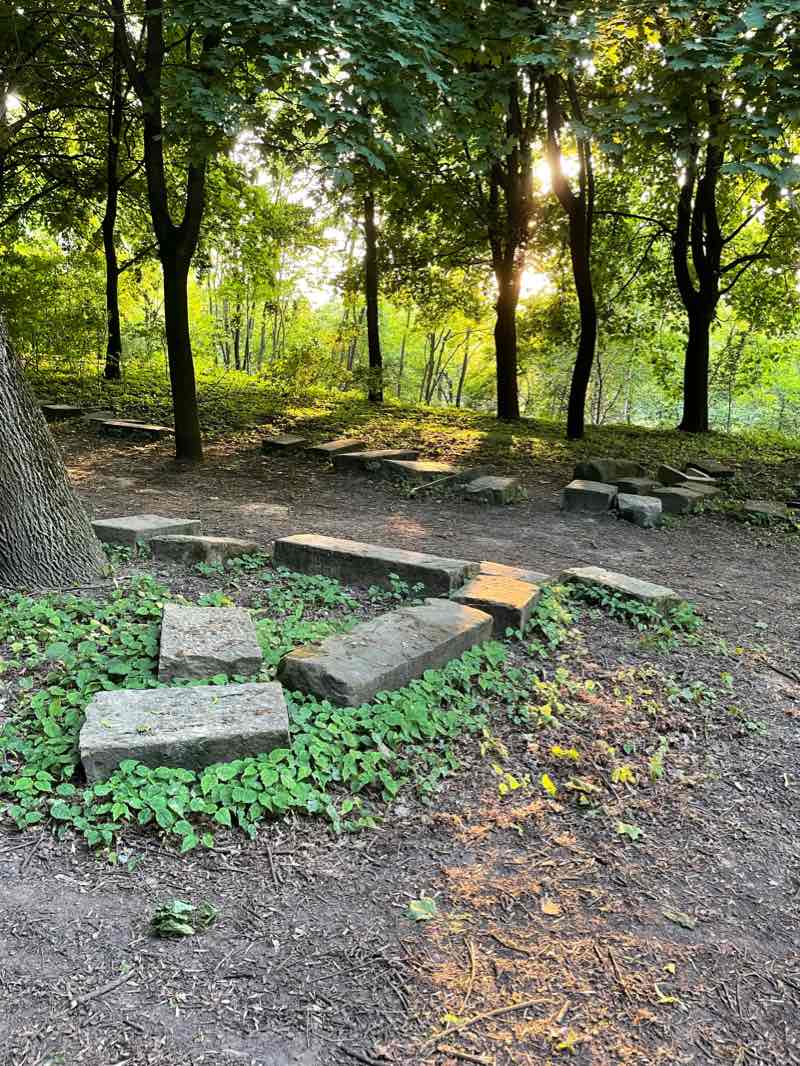 walking near me in The Shevchenko Culture and Leisure Park in winter