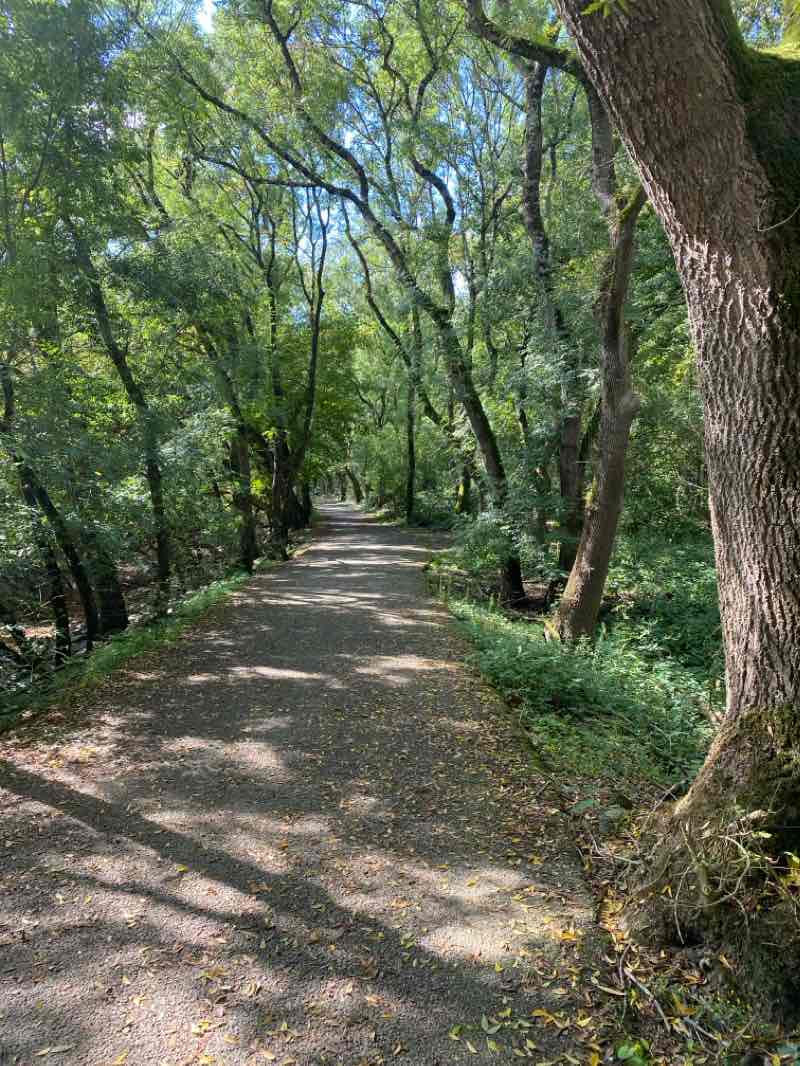 walking near me in Parc de Loisirs du Lac de Maine in winter
