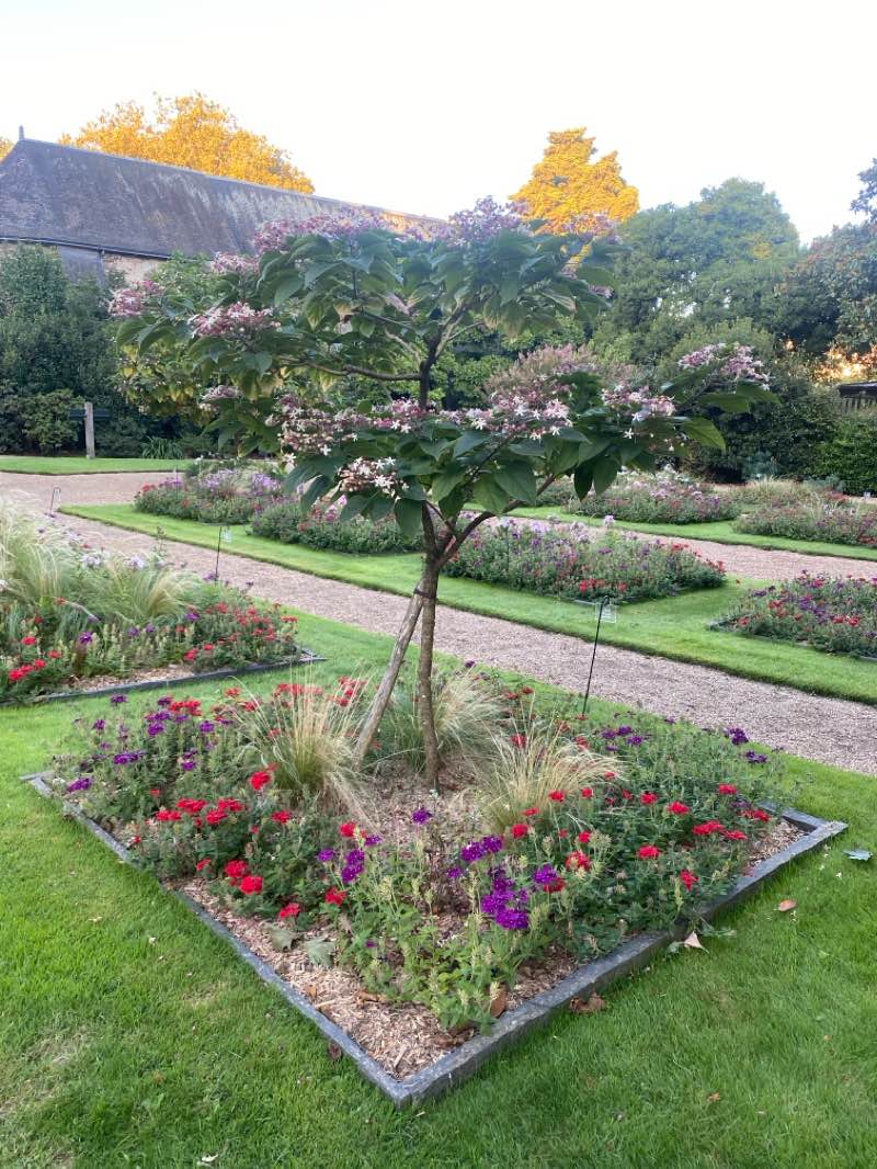 walking near me in Jardin des Plantes in winter