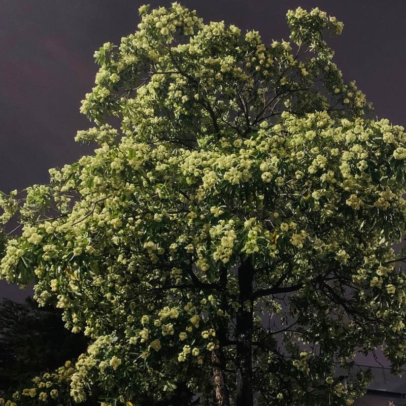 Dư Công Hùng profile