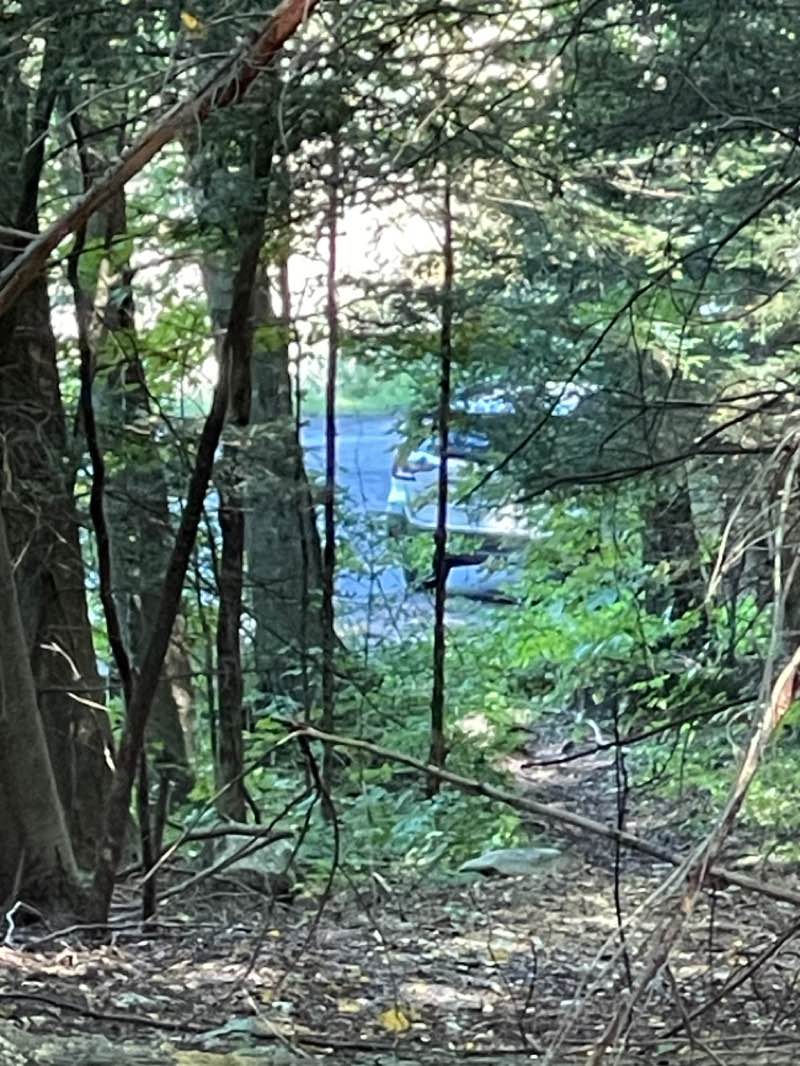 walking near me in Taconic Hereford Multiple Use Area in winter