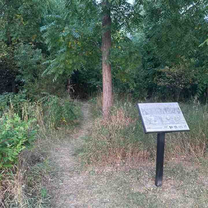 Darren 🇨🇦 post 3