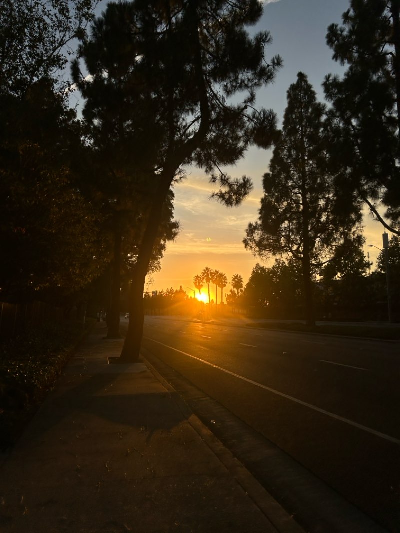 walking near me in Griset Park in autumn