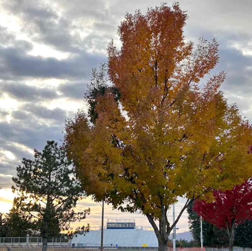 Anne Johnston post 2