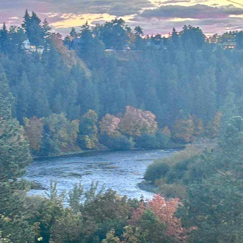 Anne Johnston post 3