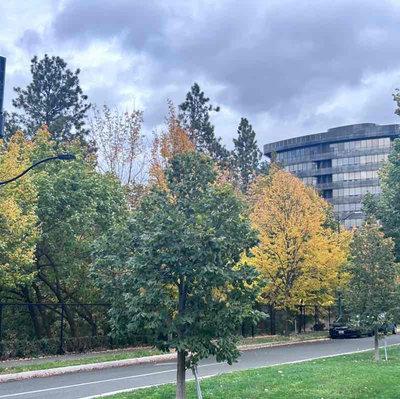 Anne Johnston post 1