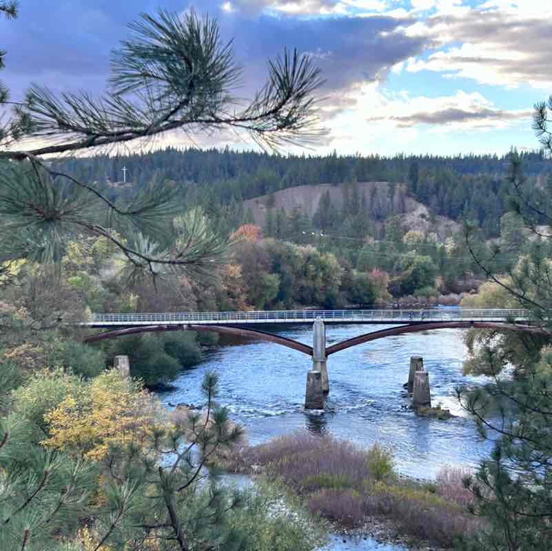 Anne Johnston post 1