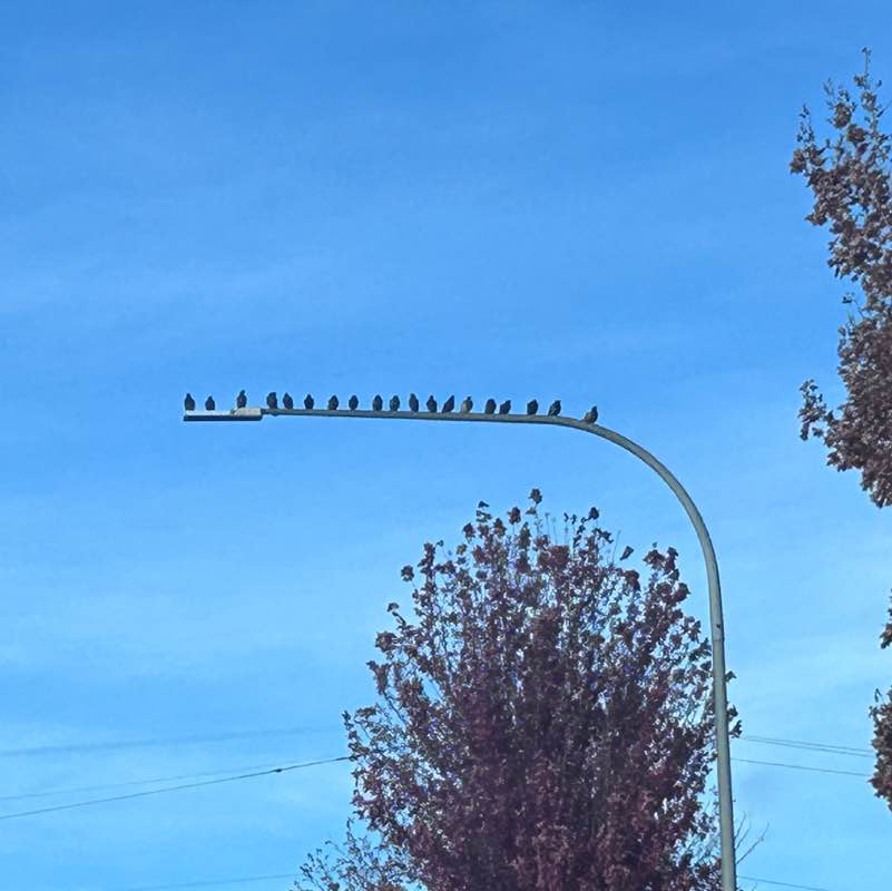 Anne Johnston post 3