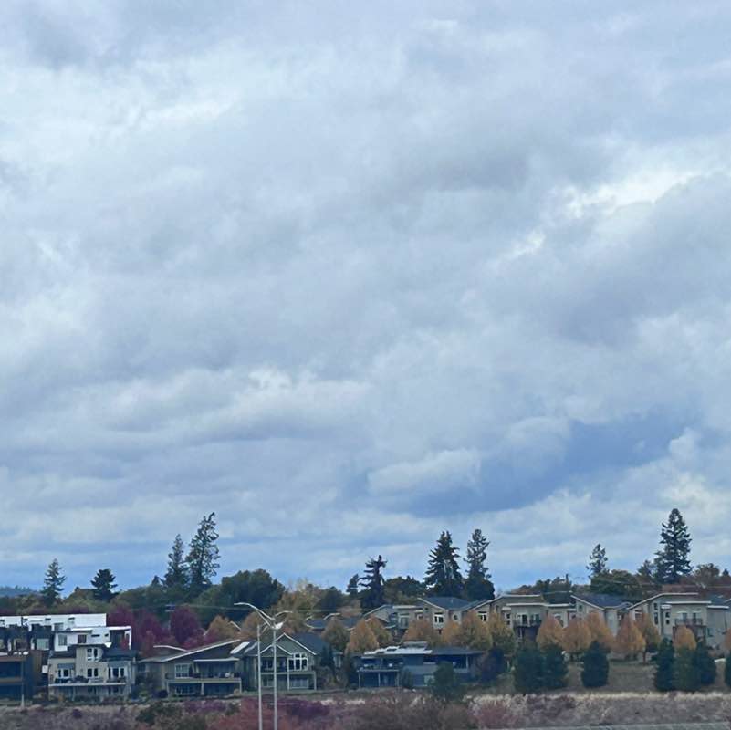 Anne Johnston post 2