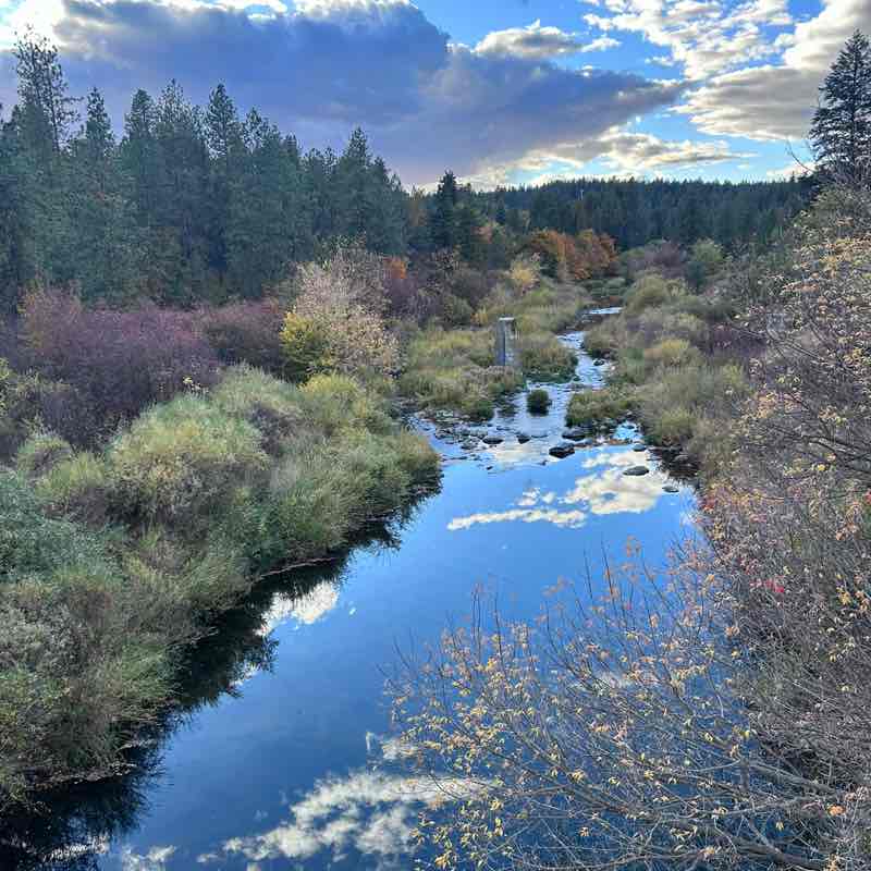 Anne Johnston post 2