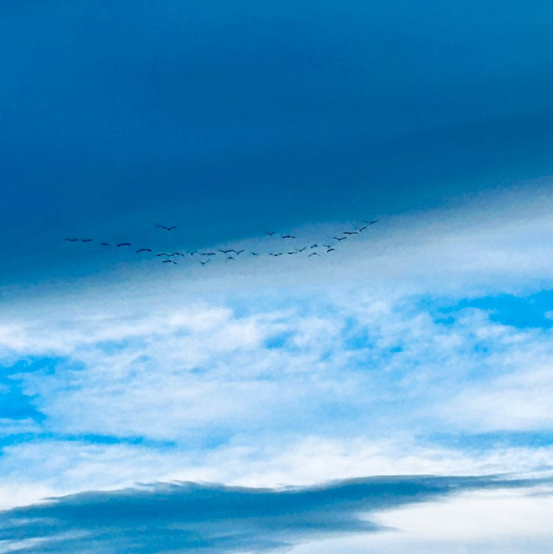 Anne Johnston post 1