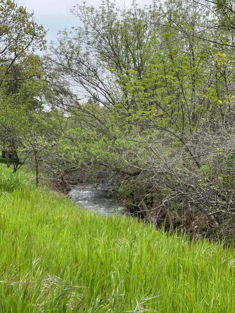 walking near me in Westwood Park in winter
