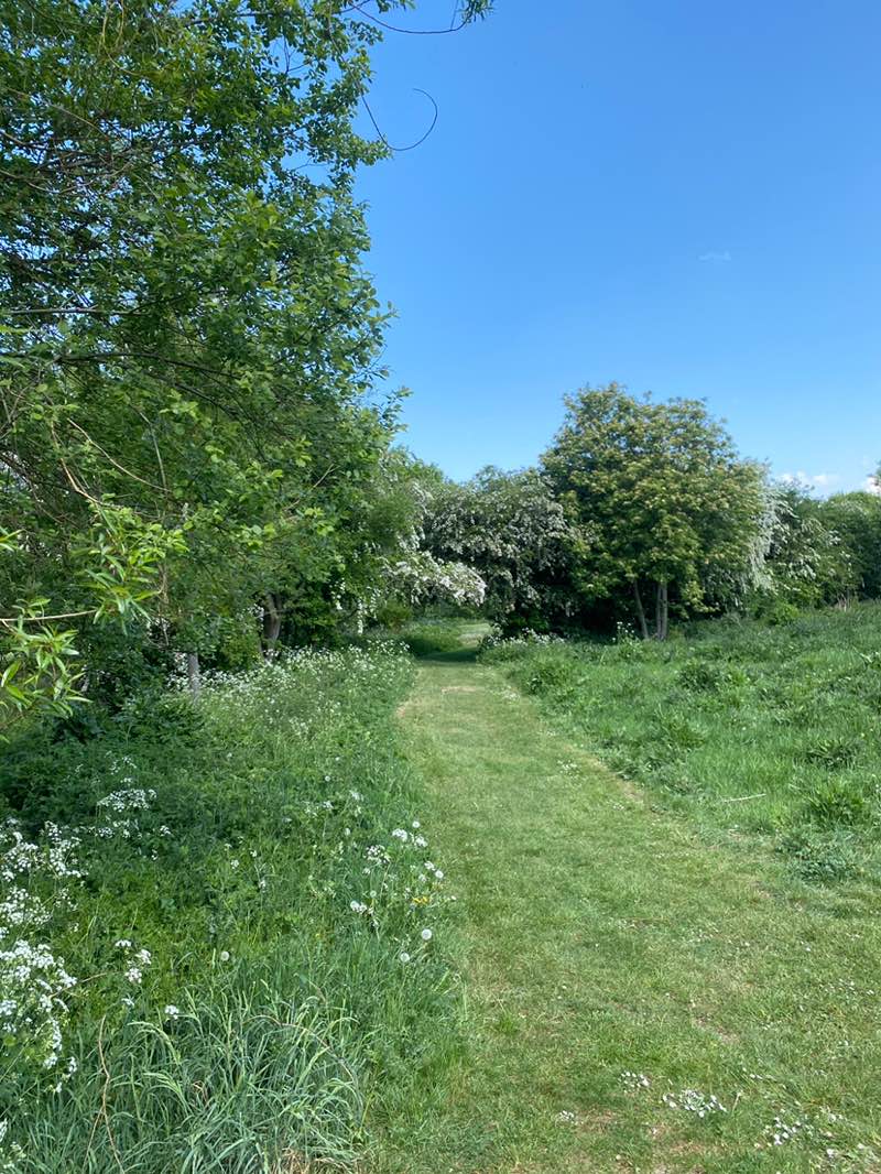 walking near me in Manor Fields in spring