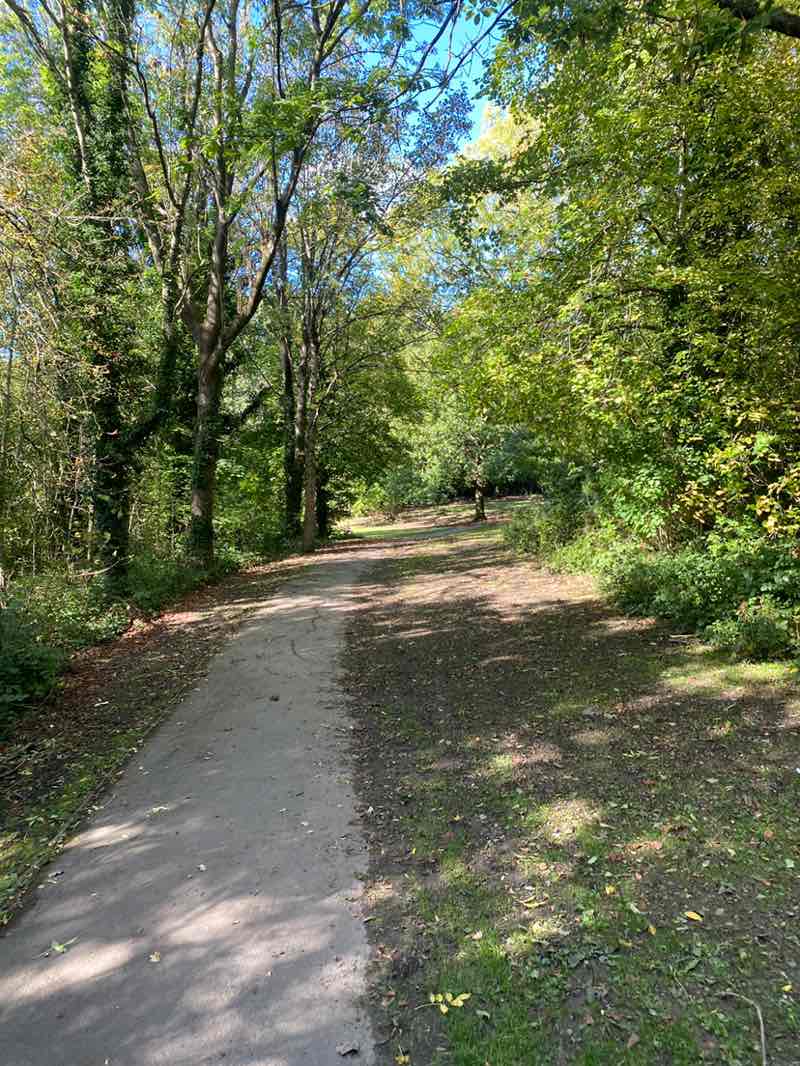 walking near me in Norfolk Heritage Park in autumn