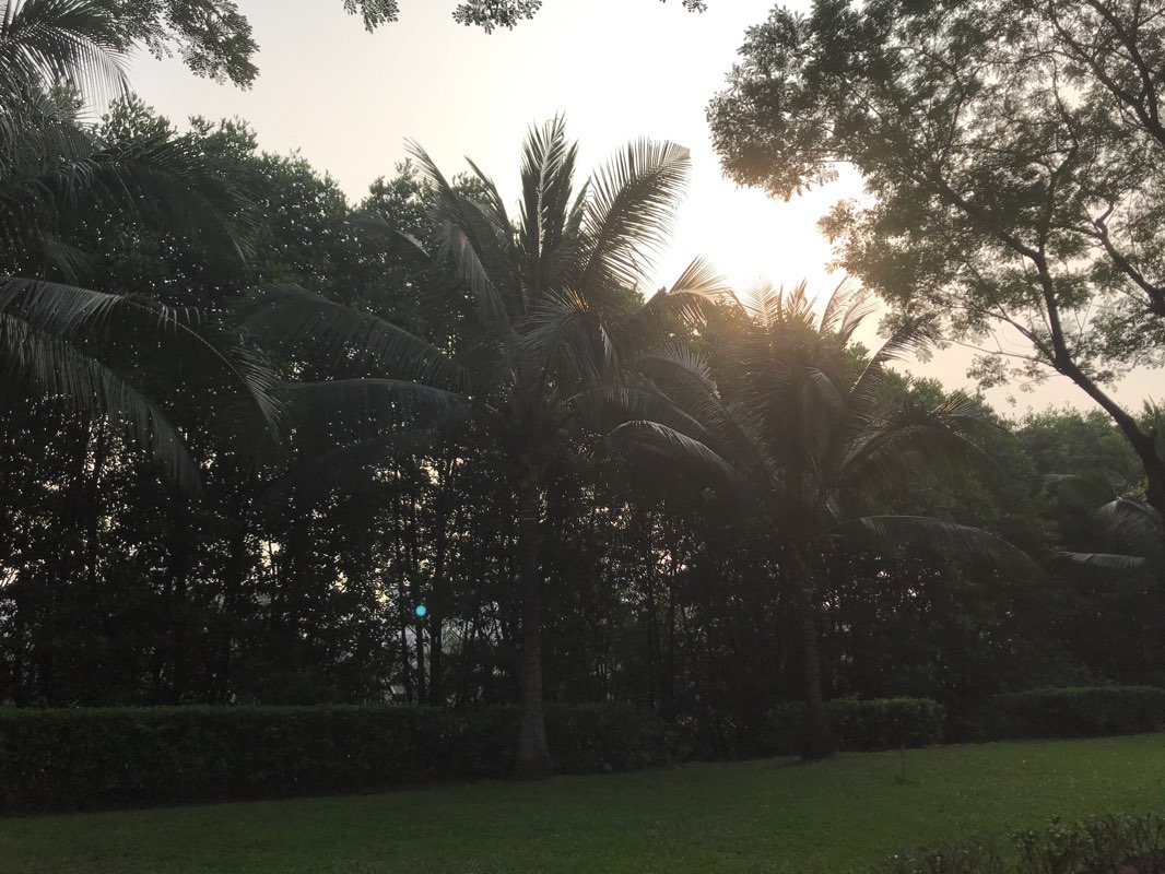 walking near me in Công viên Hồ Bán Nguyệt in winter