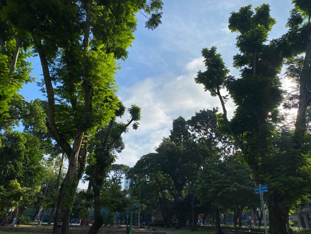 walking near me in Le Van Tam Park in autumn