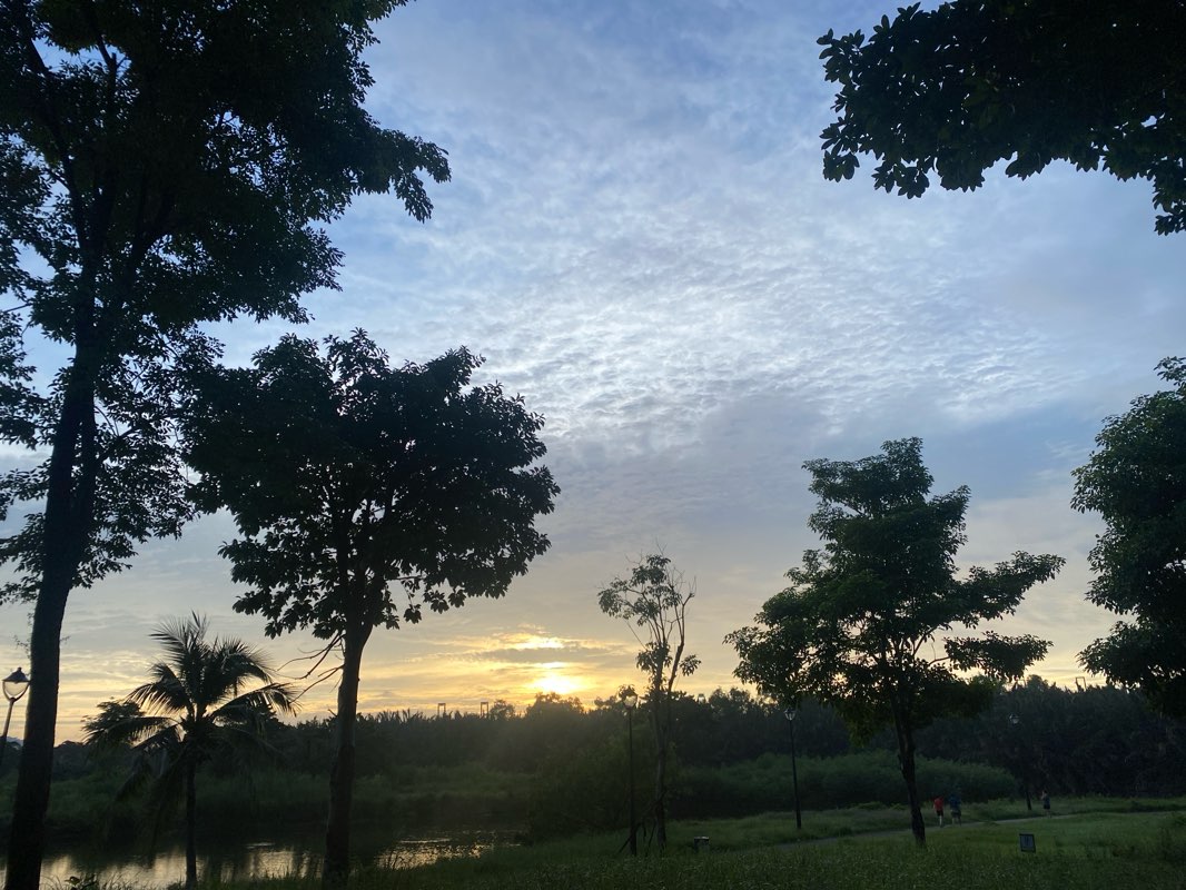 walking near me in 23/9 Park in autumn