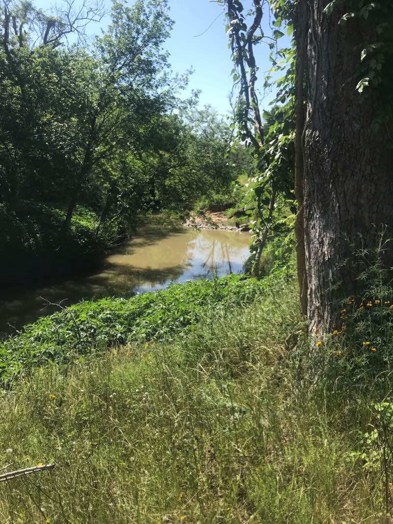 walking near me in 1776 Park in winter