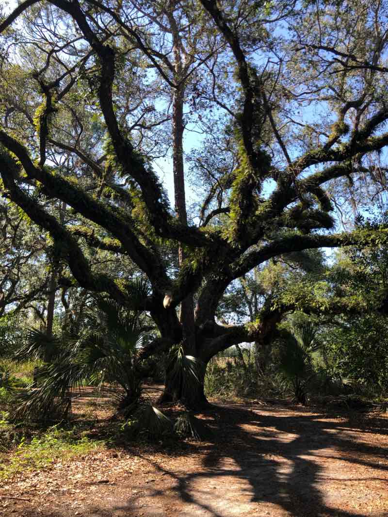 walking near me in Greenbrook Adventure Park in winter