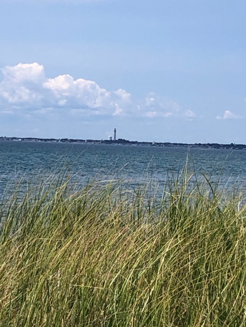 walking near me in Whistle Path Woods in winter