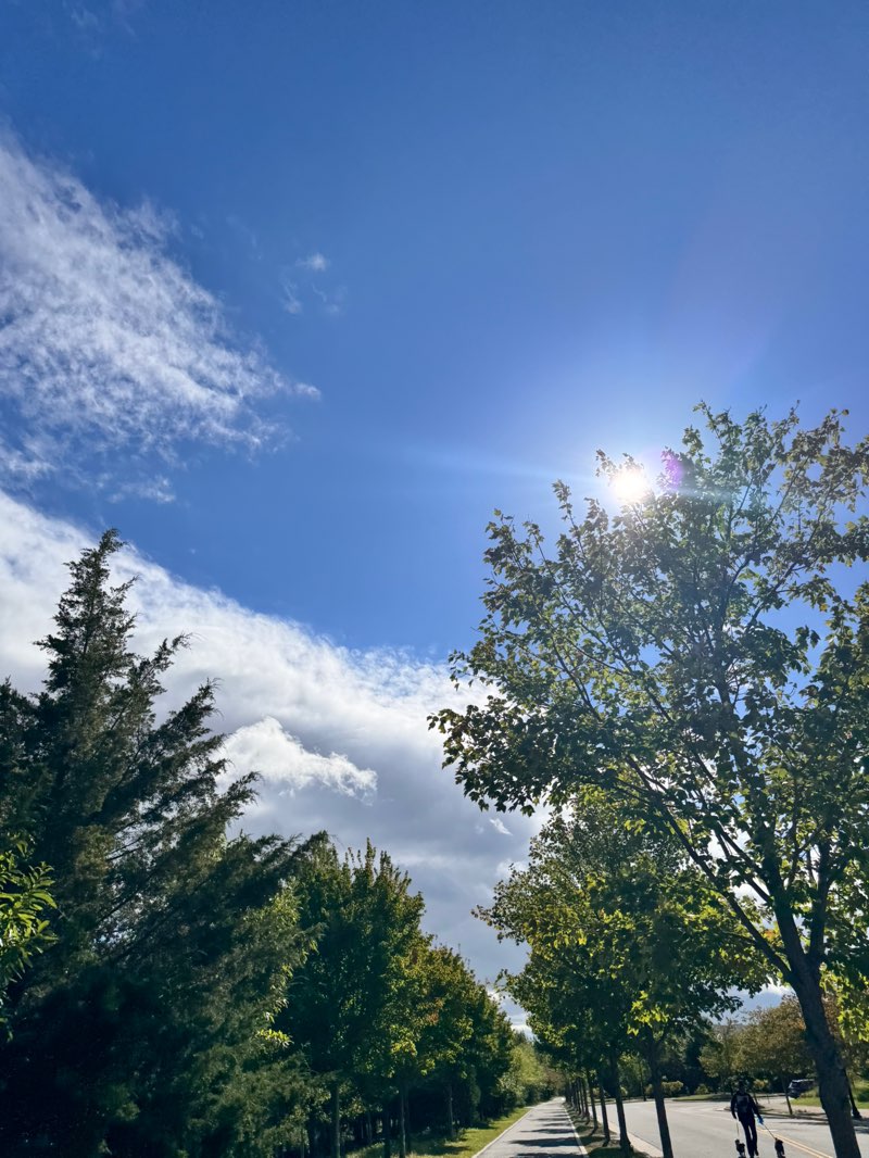 walking near me in Potomac Yard Park in autumn