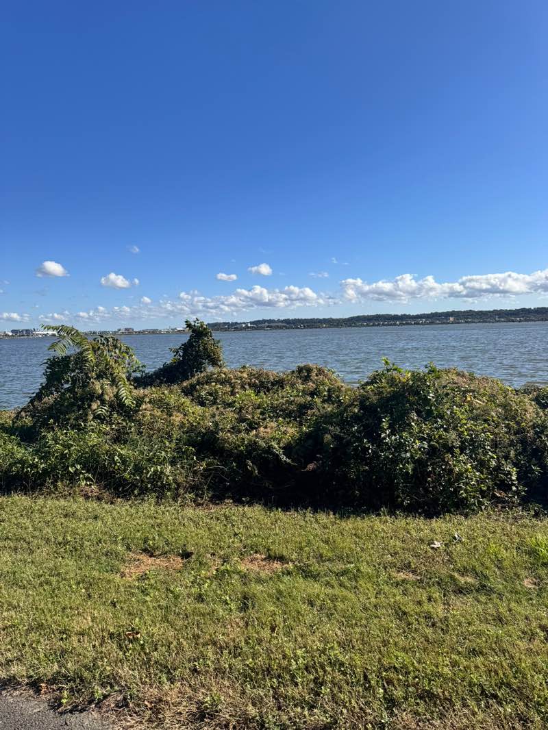 walking near me in Daingerfield Island in autumn