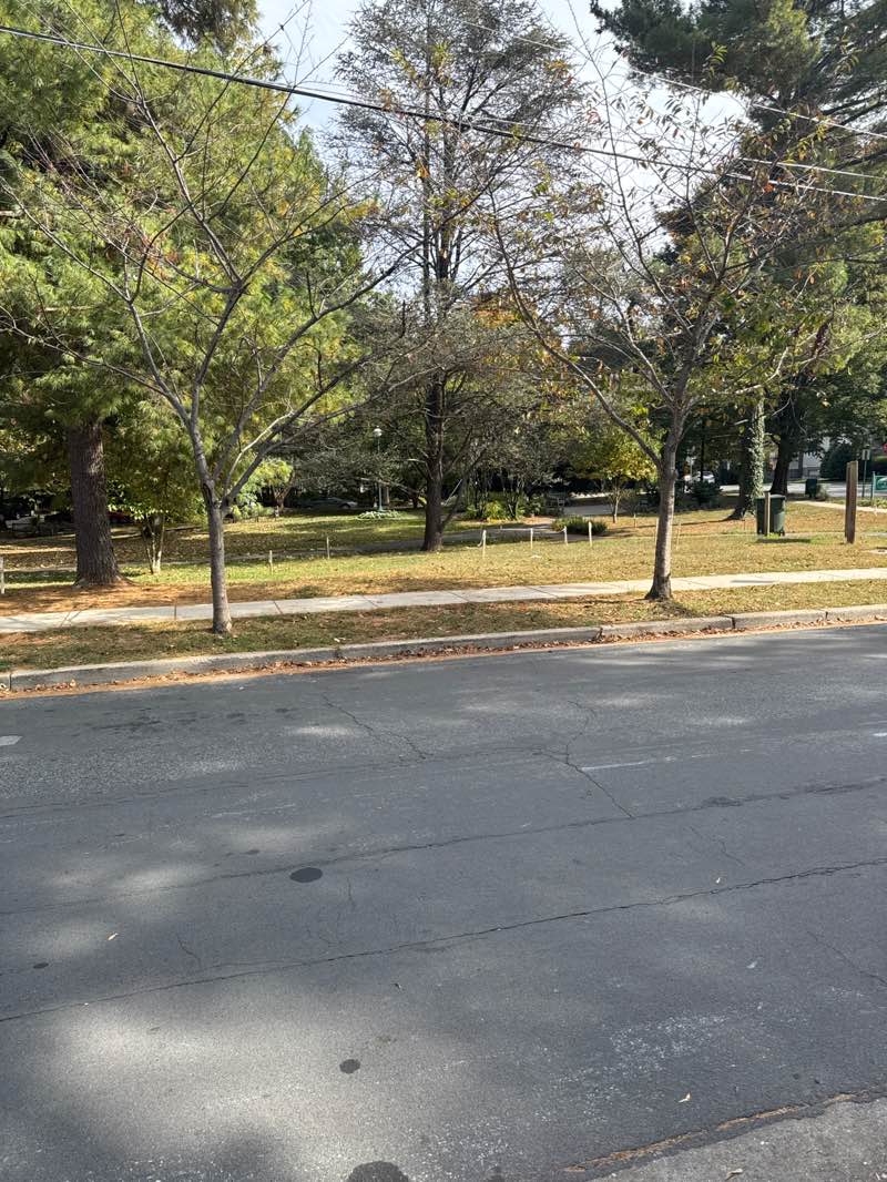walking near me in Elm Street Urban Park in autumn