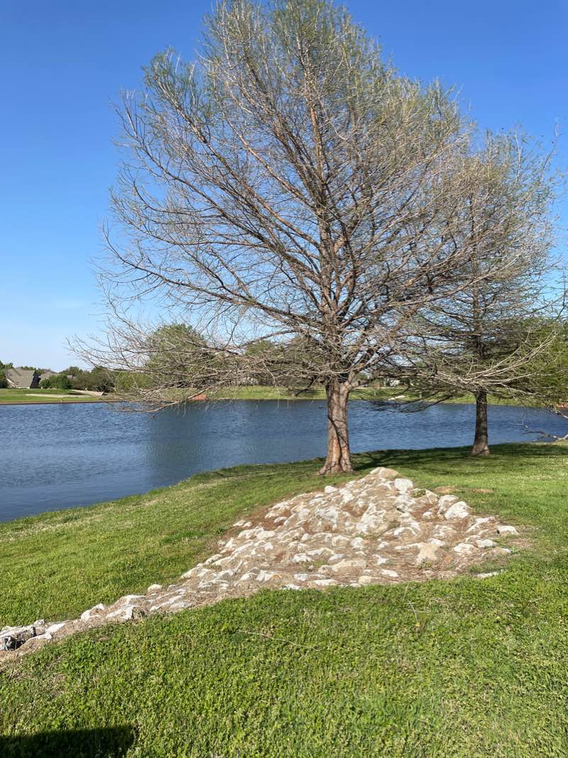 walking near me in Kimzey Park in winter