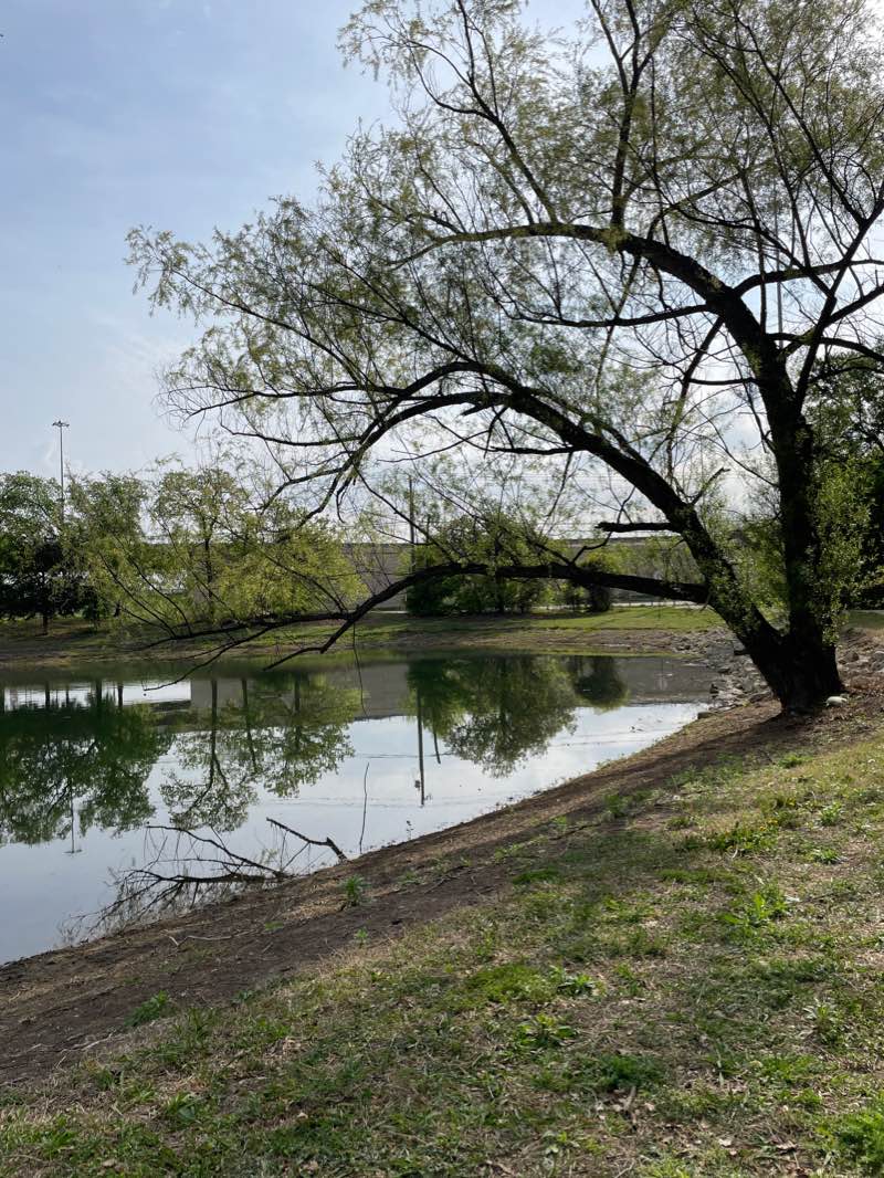 walking near me in Bear Run Park in winter