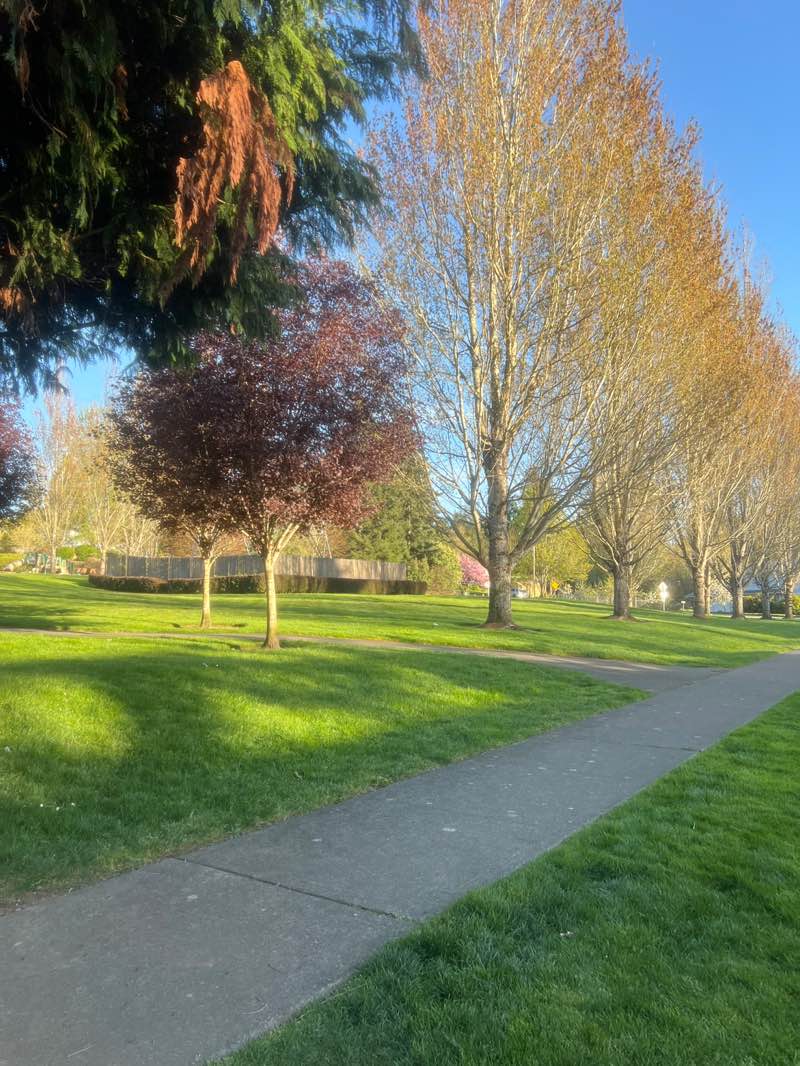 walking near me in Donegal Park in spring