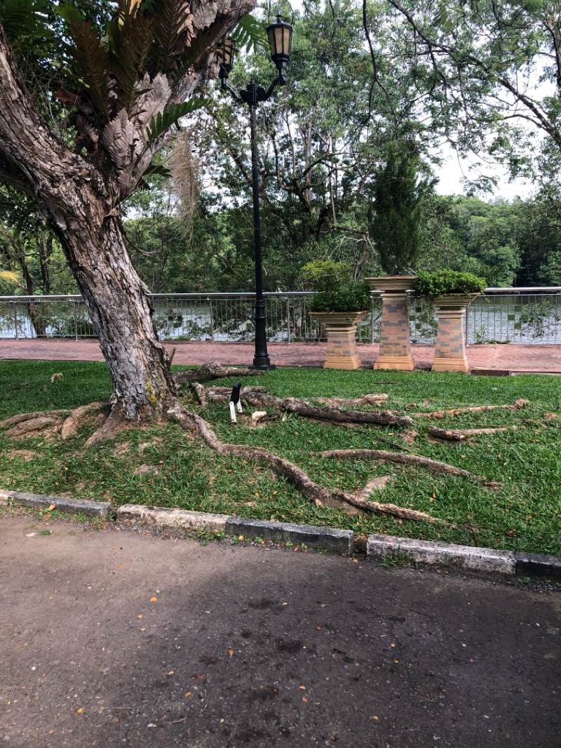 walking near me in Persiaran Damuan in winter