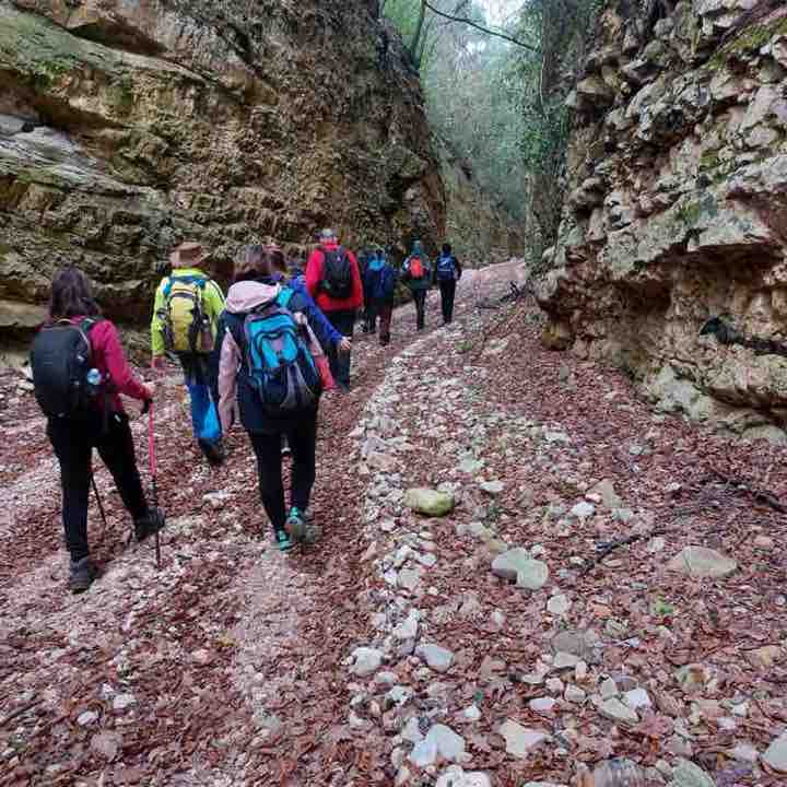 daniela.cafano post 2