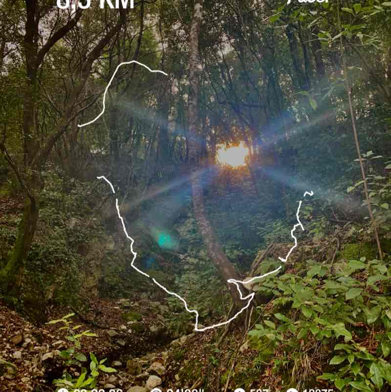 daniela.cafano post 1